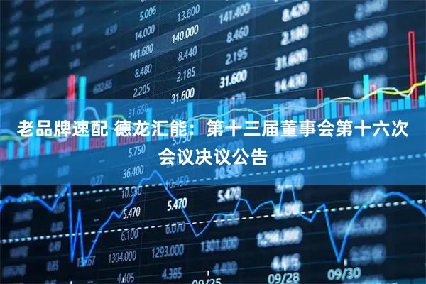 老品牌速配 德龙汇能：第十三届董事会第十六次会议决议公告