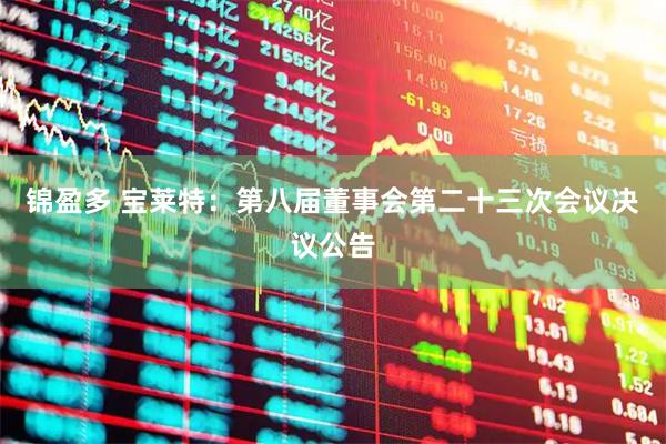 锦盈多 宝莱特：第八届董事会第二十三次会议决议公告