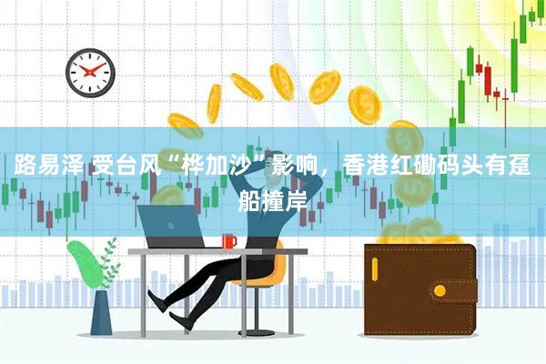 路易泽 受台风“桦加沙”影响，香港红磡码头有趸船撞岸