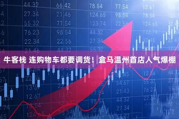 牛客栈 连购物车都要调货！盒马温州首店人气爆棚