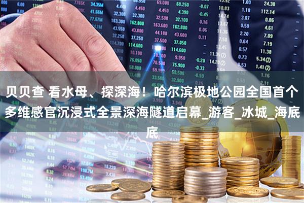 贝贝查 看水母、探深海！哈尔滨极地公园全国首个多维感官沉浸式全景深海隧道启幕_游客_冰城_海底